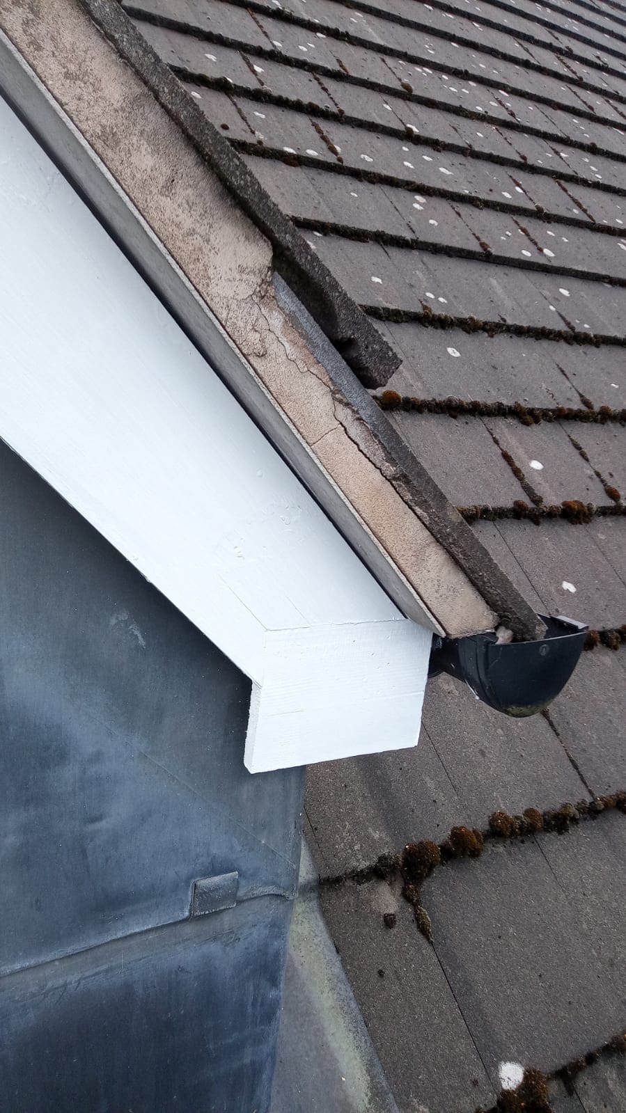 Fascia & Soffit Redecoration